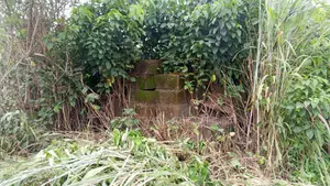 One Thousand Acres of Land for Sale at Lanlate