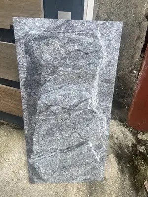 Outside Wall Tile High Quality 30 by 60