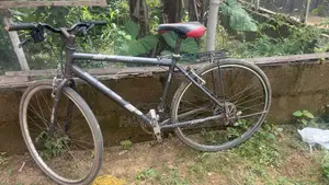 Courier Bicycle