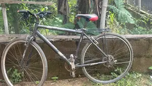 Courier Bicycle