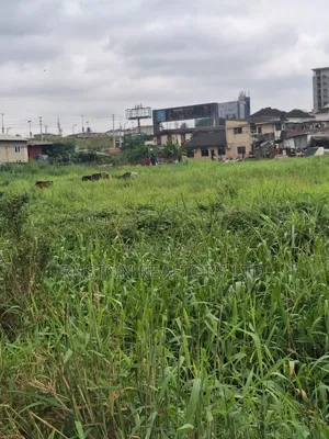 Prime Commercial Land