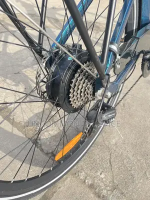 Fiido Ebike