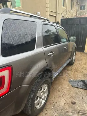 Ford Escape 2010 Gray