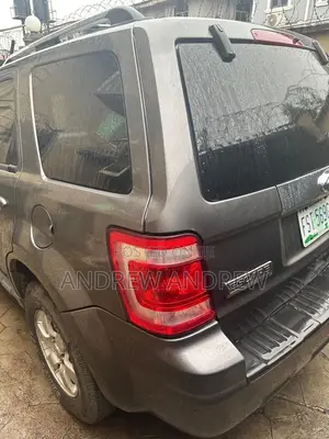 Ford Escape 2010 Gray