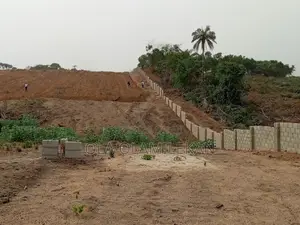 For Sale 1 Unit of Land Measuring 300sqm