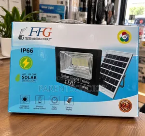 FFG 100W All-in-One Solar Flood Light