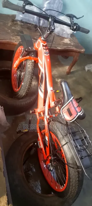 Bicycle for Children and Teenagers