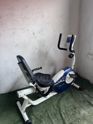 Blue Recumbent Bike