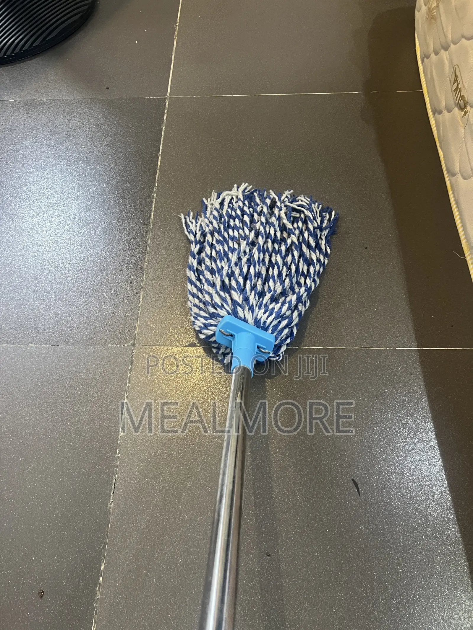 Plastic Bucket and Mob Set