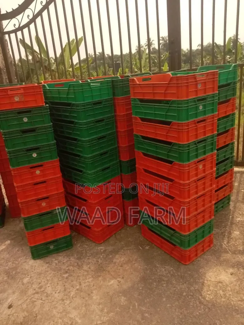 Multipurpose,non Perforated Crates
