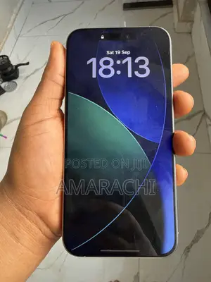 Apple iPhone 15 Pro Max 256 GB Gray