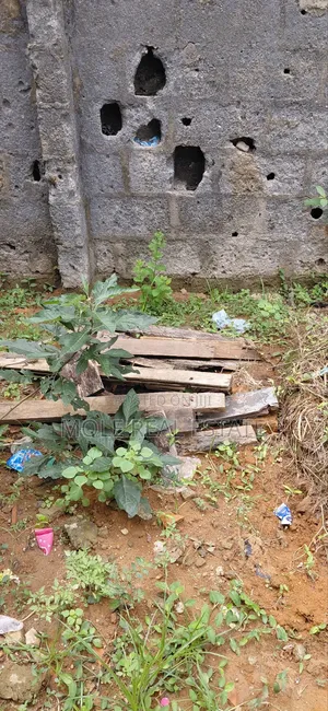 2.5 Acers (15plots) Along Lasu/Iba Rd Alimosho Lagos