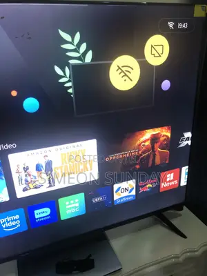 Television