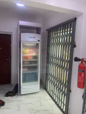 Quality Collapsible Security Doors