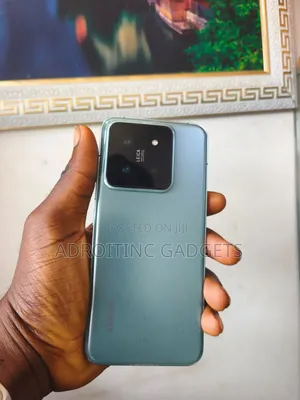 Xiaomi 14 512 GB Green