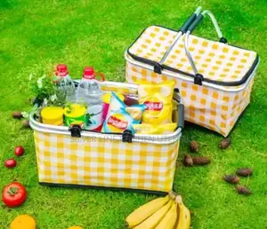 Picnic Bag/Food Carrier