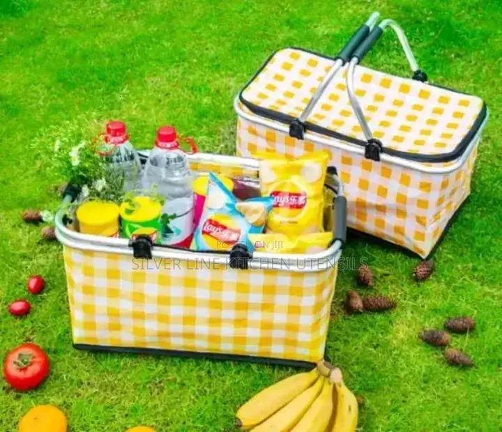 Picnic Bag/Food Carrier