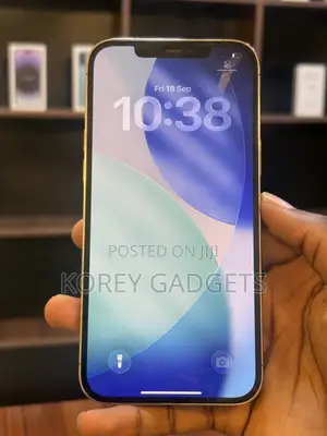 Apple iPhone 12 Pro Max 128 GB Gold