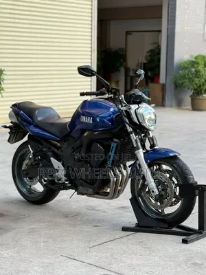 Yamaha FZ 2009 Blue