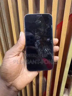 Apple iPhone 12 Pro 128 GB Gray
