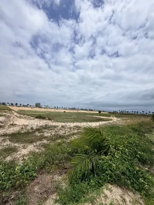 200 Acres of Land