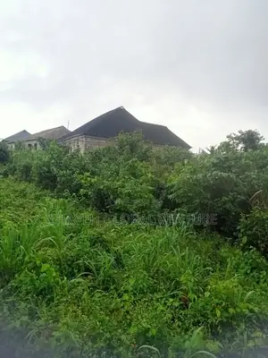 Land for Sale at Arobieye Ajibola Farm