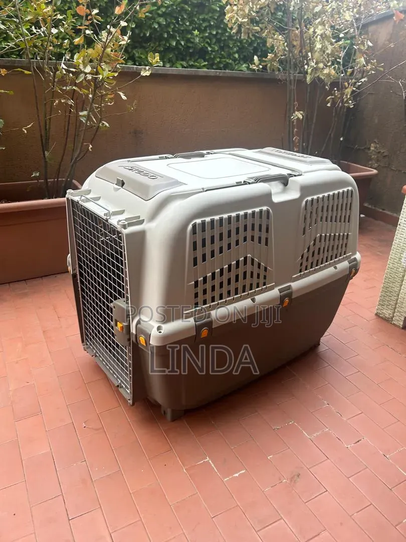 Dog Carrier