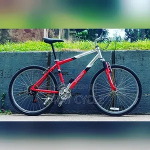 Foreign Used First Grade Bicycle