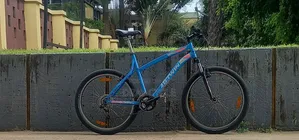Foreign Used First Grade Bicycle