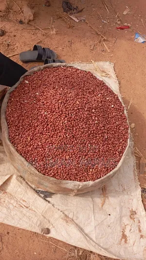 Fresh Groundnut (Geda)