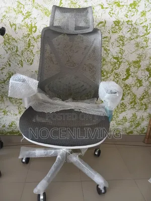 Ergonomic Office Chair