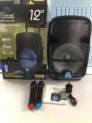 Professional EK Model 1204 Professional pA Speak Wireless