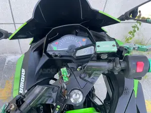 Kawasaki Ninja H2 2018 Green