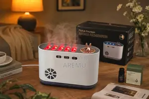 Pick Up Fountain Humidifier