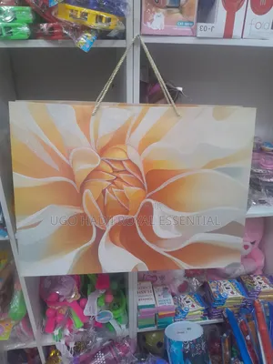 Luxury Acrylic Shoppers and Gift Bag