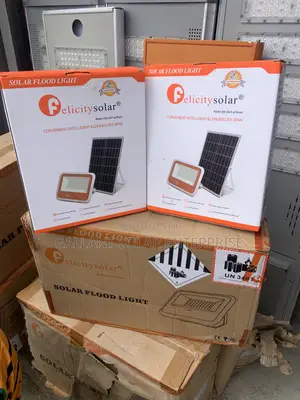Felicity Solar Street Flood Light