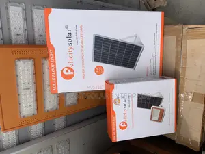 Felicity Solar Street Flood Light