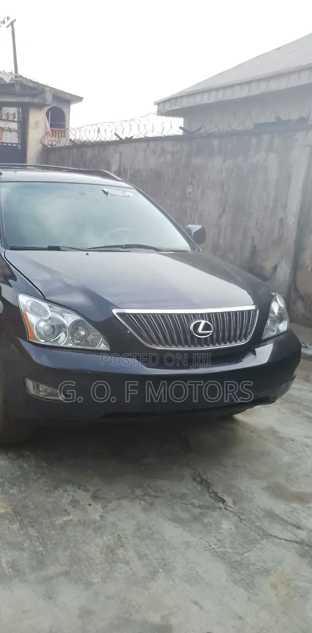 Lexus RX 2007 Gray
