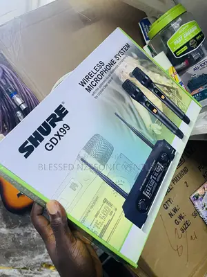 Professional Wireless Microphone