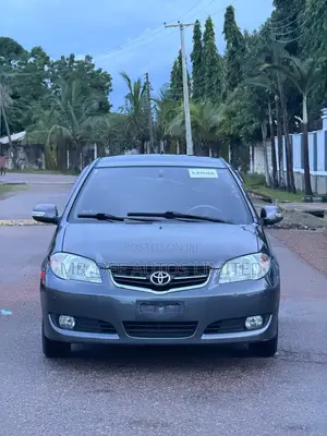 Toyota Vios 2007 Gray