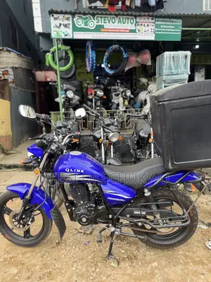 New Qlink X-ranger 200 2025 Blue
