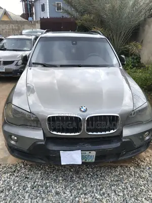 BMW X5 3.0i 2006 Gray