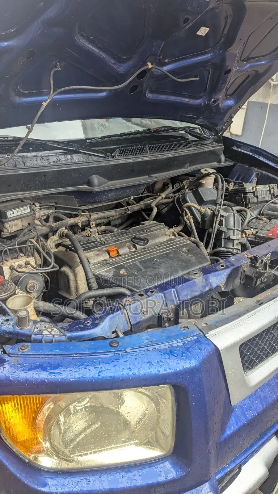 Honda Element LX Automatic 2006 Blue