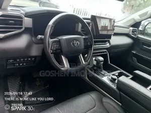 New Toyota Tundra 2024 Brown