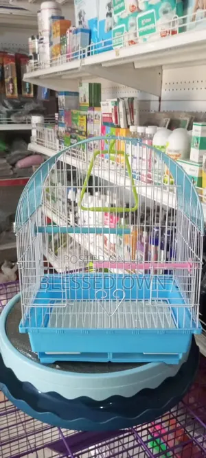 Fancy Medium Cages