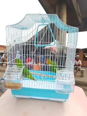 Fancy Medium Cages
