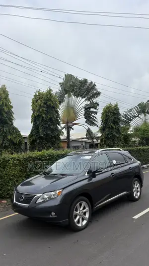 Lexus RX 350 2011 Gray