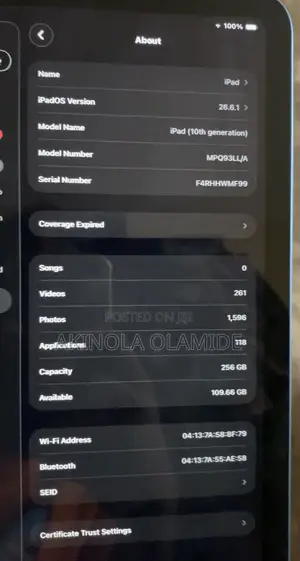 Apple iPad (2022) 256 GB Blue