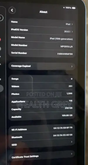 Apple iPad (2022) 256 GB Blue