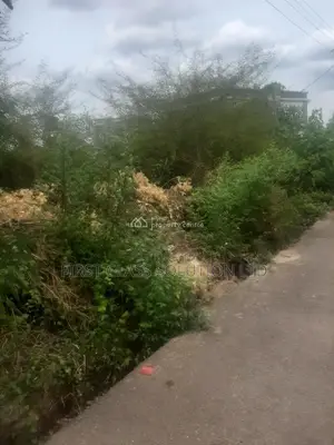 Empty Plot